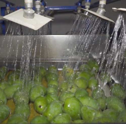 Hot water treatment